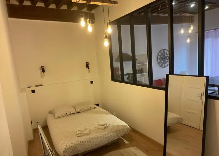 Arquebuse Proche Gare アパート ディジョン